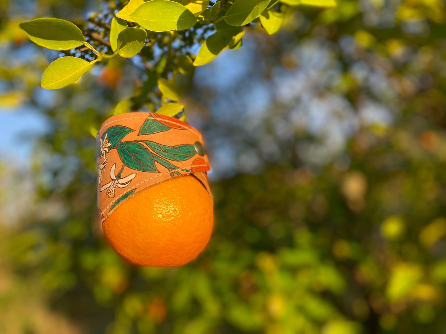 Mason Jar Wraps: Florida’s State Fruit