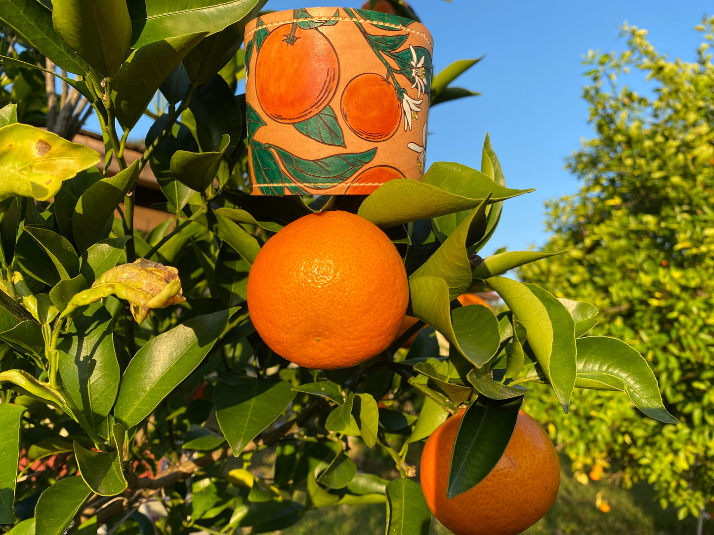 Mason Jar Wraps: Florida’s State Fruit